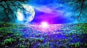 TAROT GARTUITO MIÉRCOLES,HECHIZOS DE LUNA,WHAPS 10€